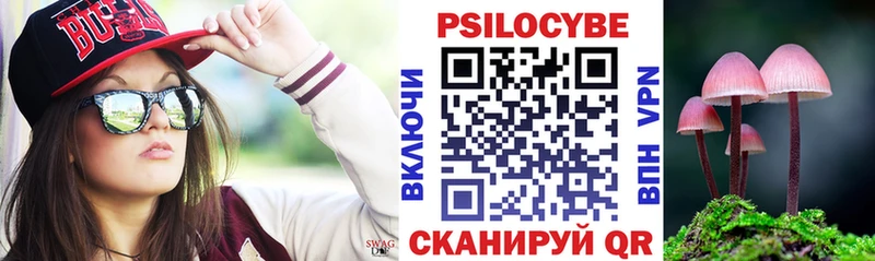 Галлюциногенные грибы Cubensis Вихоревка
